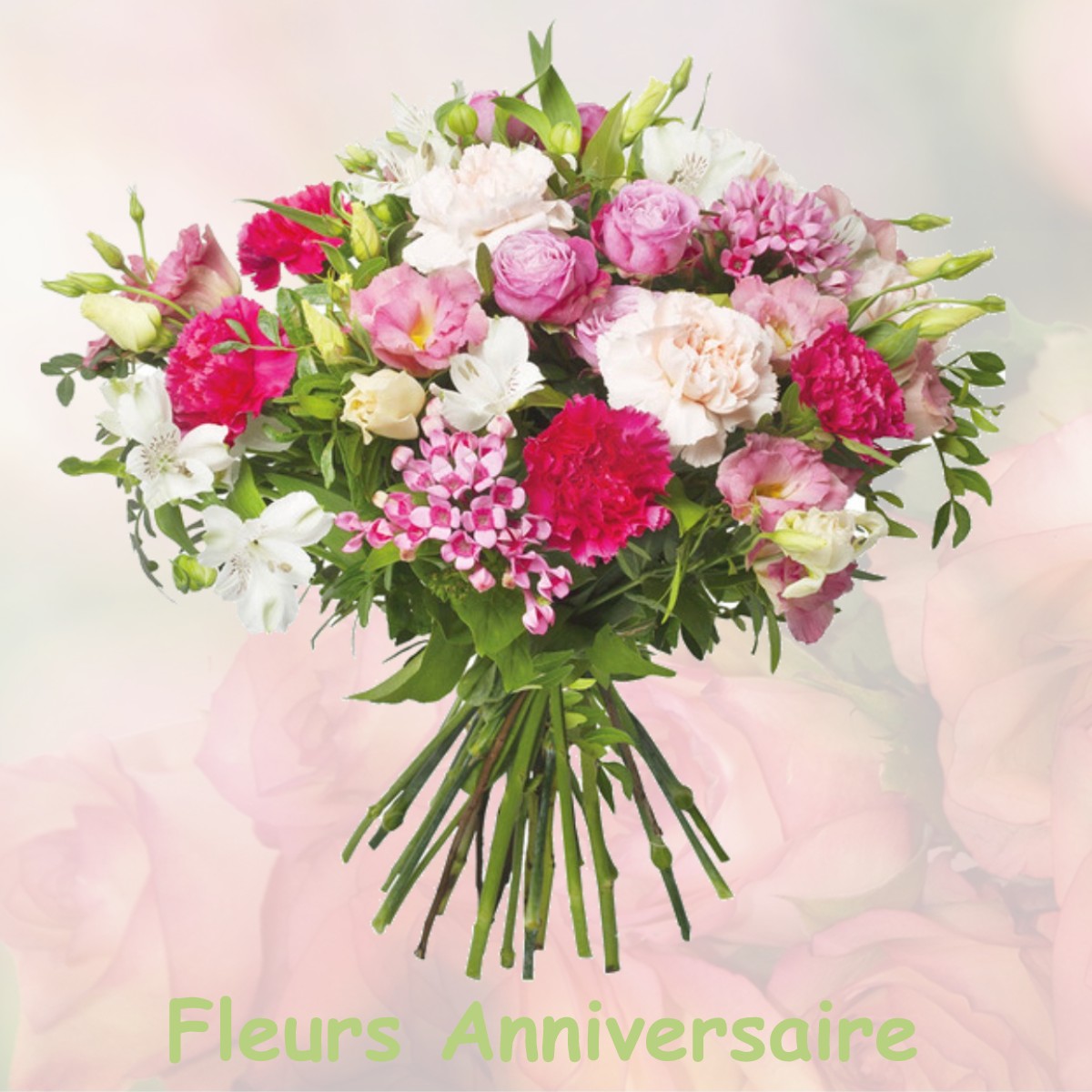 fleurs anniversaire AULNOIS-EN-PERTHOIS