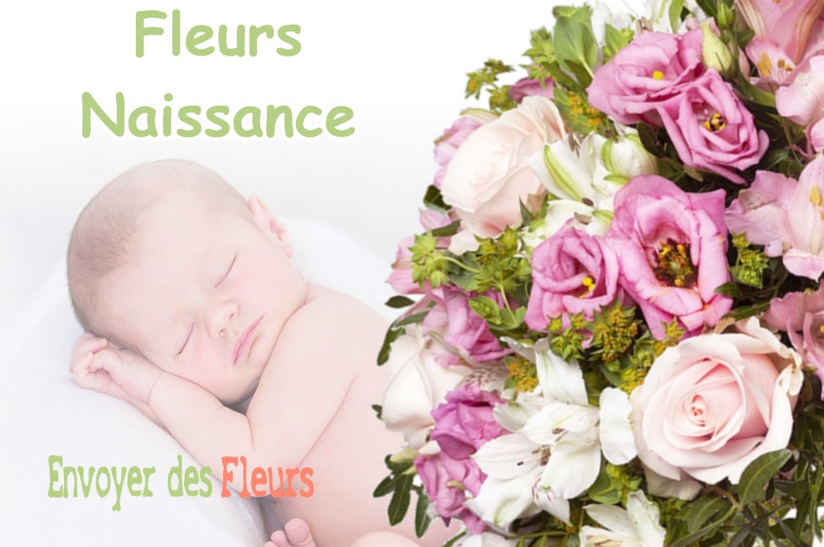 lIVRAISON FLEURS NAISSANCE à AULNOIS-EN-PERTHOIS